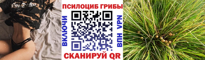 Галлюциногенные грибы ЛСД Михайловка