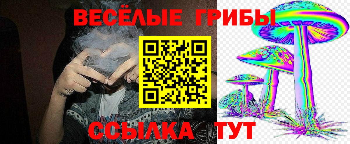 Псилоцибиновые грибы Psilocybine cubensis  Вход с VPN  Михайловка 